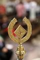 AVIS55GP_0230